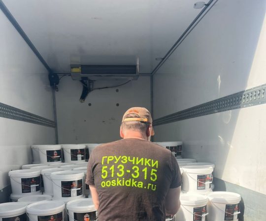  в Дмитрове и  Московской области